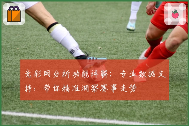 竞彩网分析功能详解：专业数据支持，带你精准洞察赛事走势